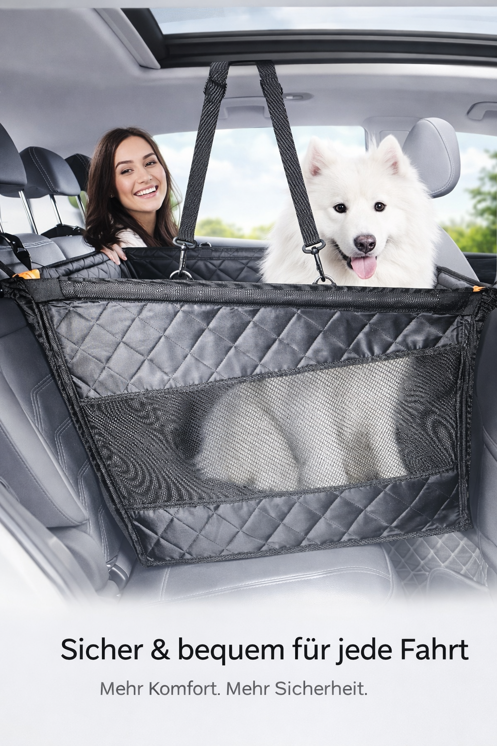 Auto Hundesitz