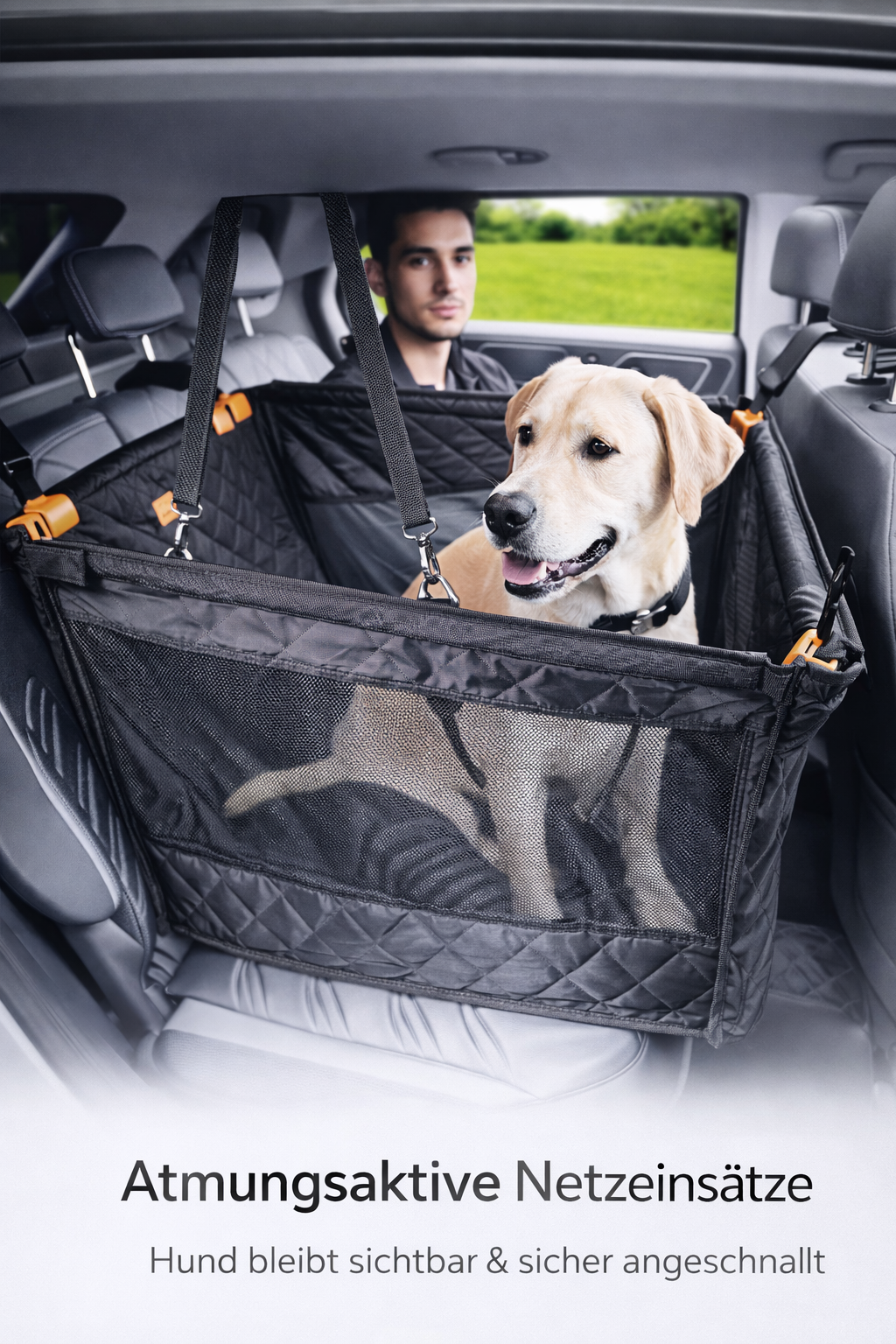 Auto Hundesitz