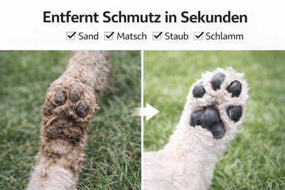Pfoten Clean