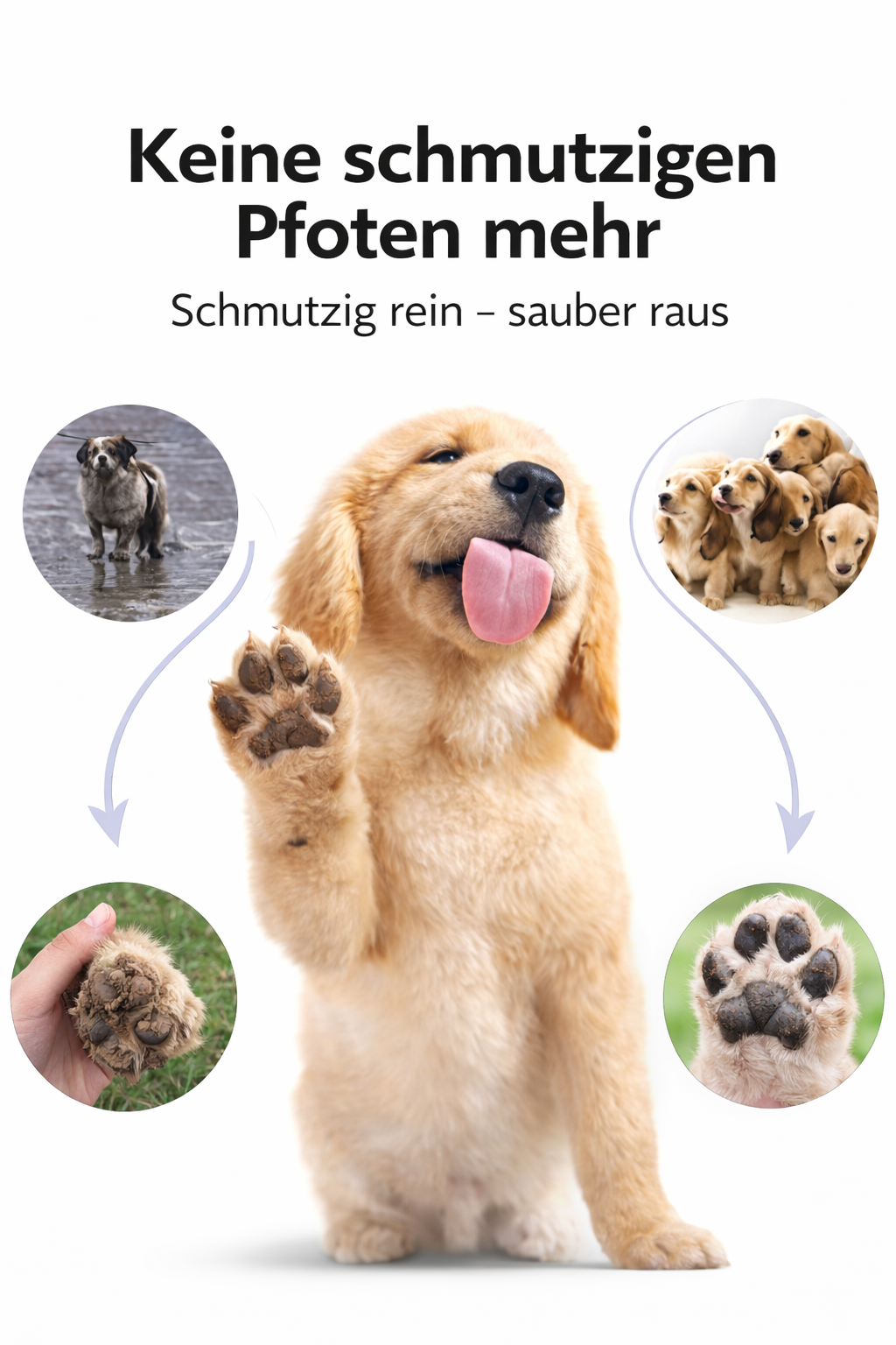 Pfoten Clean