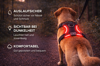 LED Sicherheitsgeschirr